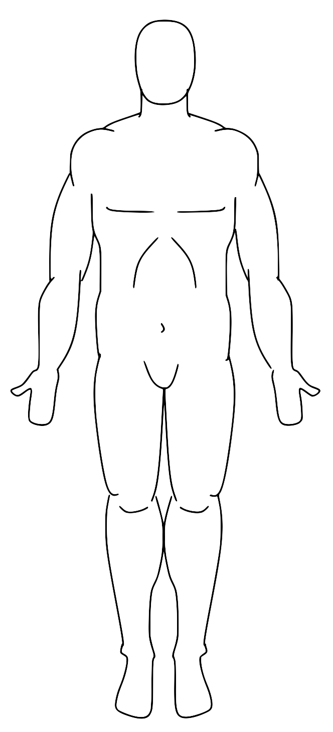 Human Body